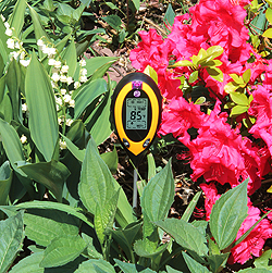 Soil Meter in use photo