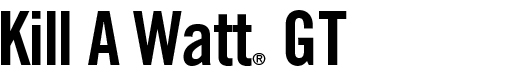 Kill A Watt GT